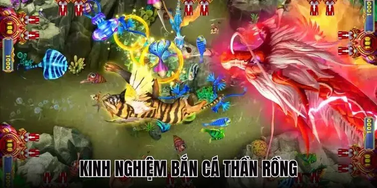 Bí Kíp Chơi Bắn Cá Rồng M88 Để Săn Thưởng Khủng Dễ Dàng
