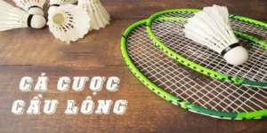 Cách Chơi Cá Cược Cầu Lông M88 Hiệu Quả Nhất