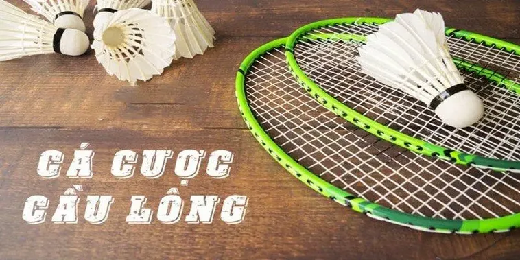 Cách Chơi Cá Cược Cầu Lông M88 Hiệu Quả Nhất